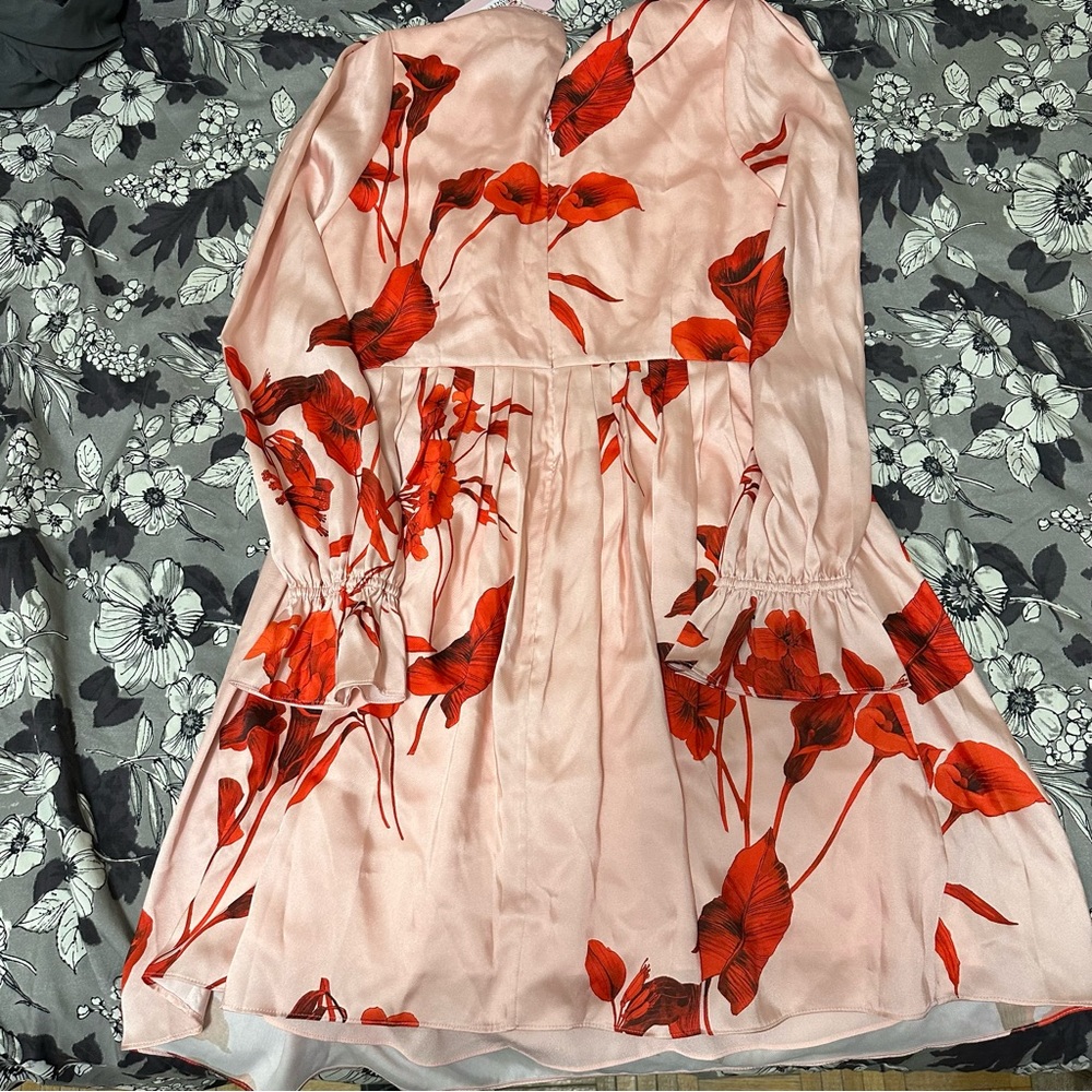 Ted Baker London Pink Dress with Red Floral Print - Picture 12 of 12